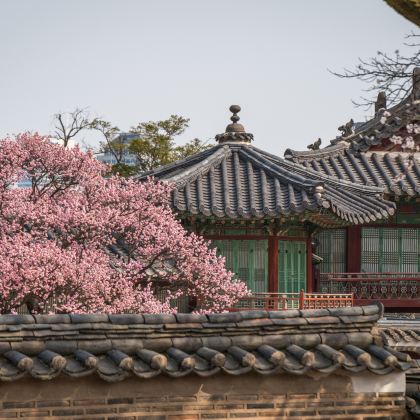 韩国首尔4日3晚自由行