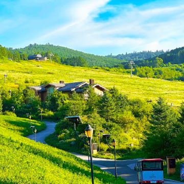 长春+长白山5日4晚跟团游