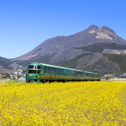 日本九州+北九州市+熊本市+宫崎市+大分市+福冈+佐贺市7日6晚跟团游