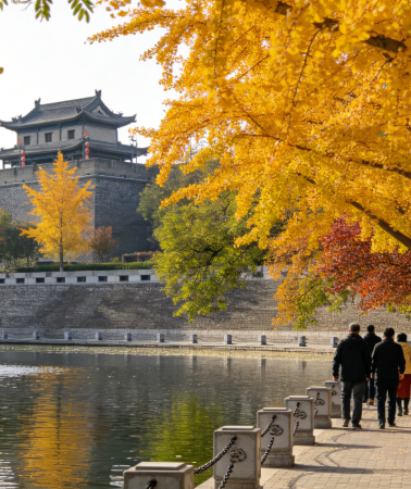 5D4N • Assistance with train ticket bookings | Must-see Terracotta Army in Xi'an + Hukou Waterfall + Priority stay at the PULLMAN hotel in Xi'an + Designated Novotel hotel at Mount Hua + Gold-rated tour guide + Mount Hua + City Wall