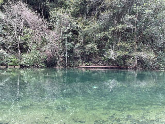 屏山悬索玻璃桥旅行图片 4