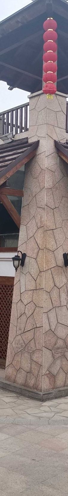 南京-YoYo_3S8F9J2G