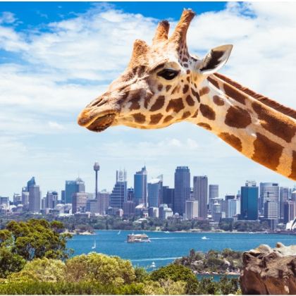 澳大利亚悉尼+堪培拉+墨尔本+大洋路9日8晚私家团