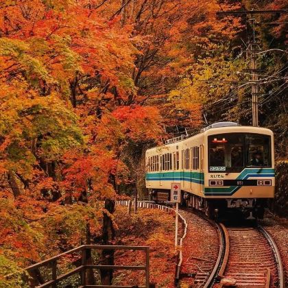 日本大阪+京都+奈良+北海道札幌+小樽+洞爷湖町+旭川+富良野7日6晚拼小团