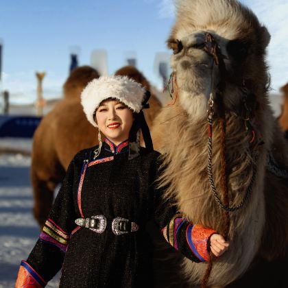 呼伦贝尔+额尔古纳+满洲里6日5晚跟团游