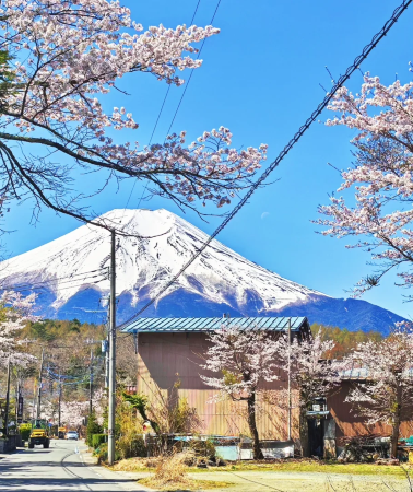 3日2晚 • 日本河口湖＋富士山＋伊豆市