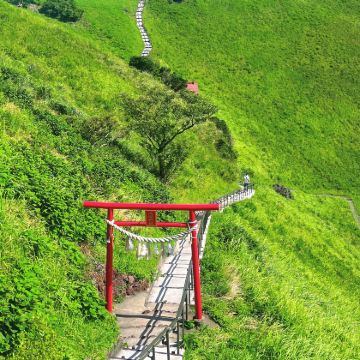 日本东京+富士山+伊豆市4日3晚自由行