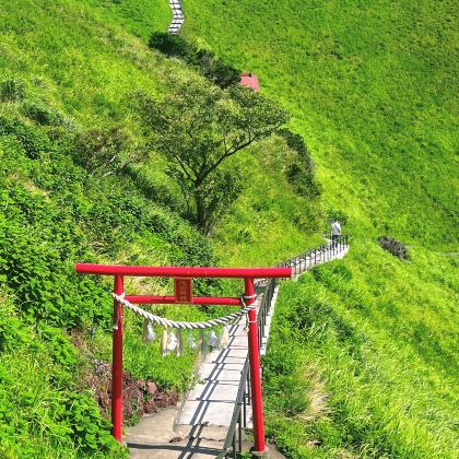 日本东京+富士山+伊豆市4日3晚自由行