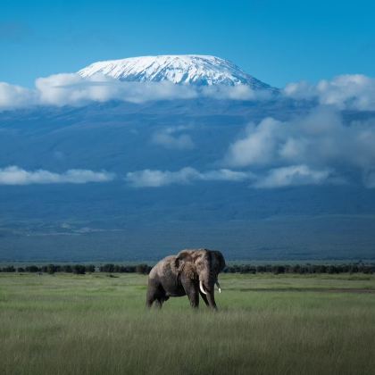 肯尼亚马赛马拉国家公园+纳库鲁湖国家公园+奈瓦沙湖+地狱之门国家公园+安博塞利四大国家公园7日6晚跟团游