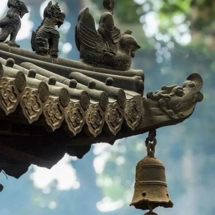 温州+雁荡山5日4晚私家团