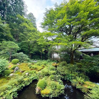 日本东京+大阪+京都+福冈8日7晚跟团游