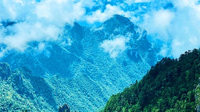 神农架、宜昌+5