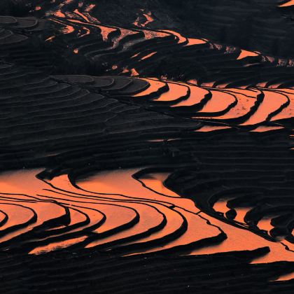 云南昆明+抚仙湖+建水+元阳+蒙自+河口+弥勒+石林8日7晚私家团