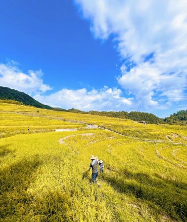 3D2N • Shaoguan + Yingde + Yingxi Fenglin Corridor       
