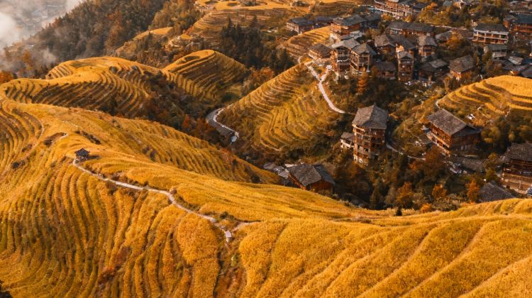 6-Day Guilin Panorama Tours: Guilin + Yangshuo + Li River Scenic Area + Longji Rice Terraces | 10 Pax En Group | 5-star Hotel | International Tourists Only