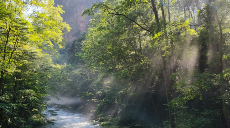 5-Day Tianzishan + Changsha + Zhangjiajie + Tianmen Mountain National Forest Park