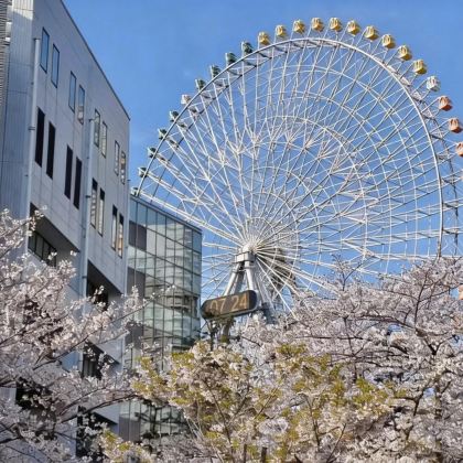 日本东京+伊豆5日4晚私家团