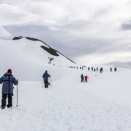 巴西+阿根廷+乌拉圭+南极洲+福克兰群岛+智利+秘鲁38日34晚跟团游