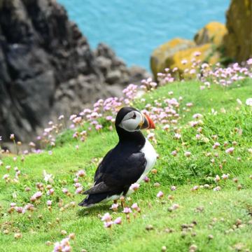 英国剑桥+约克+爱丁堡+温德米尔镇+牛津+温莎13日11晚私家团