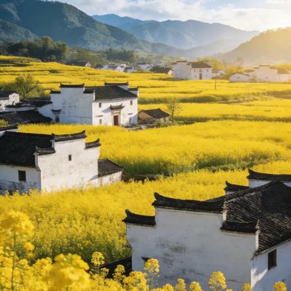 江西婺源+望仙谷+三清山+龙虎山+景德镇6日5晚私家团