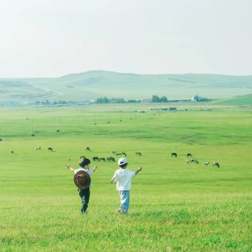 乌兰布统旅游区+木兰围场+塞罕坝国家森林公园+坝上+承德5日4晚拼小团