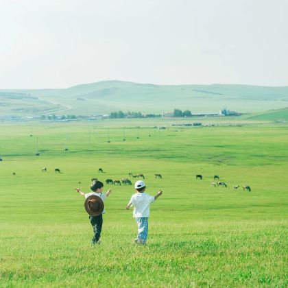 乌兰布统旅游区+木兰围场+塞罕坝国家森林公园+坝上+承德5日4晚拼小团