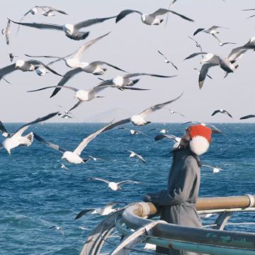 大连+旅顺口区+大连金石滩国家旅游度假区5日4晚跟团游