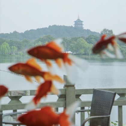 杭州+乌镇+苏州4日3晚私家团