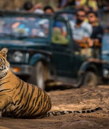 4D3N • Golden Triangle & Ranthambore: 4-Day Private Tour from Delhi
