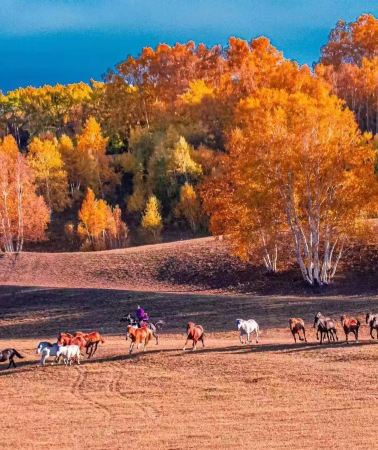 5D4N • Qinhuangdao + Chengde + Ulan Butung Grasslands + Mulan Paddock