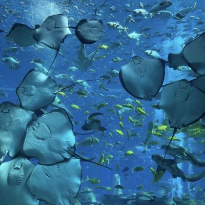 海口+三亚+海花岛+儋州7日6晚私家团