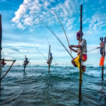 斯里兰卡6日5晚拼小团