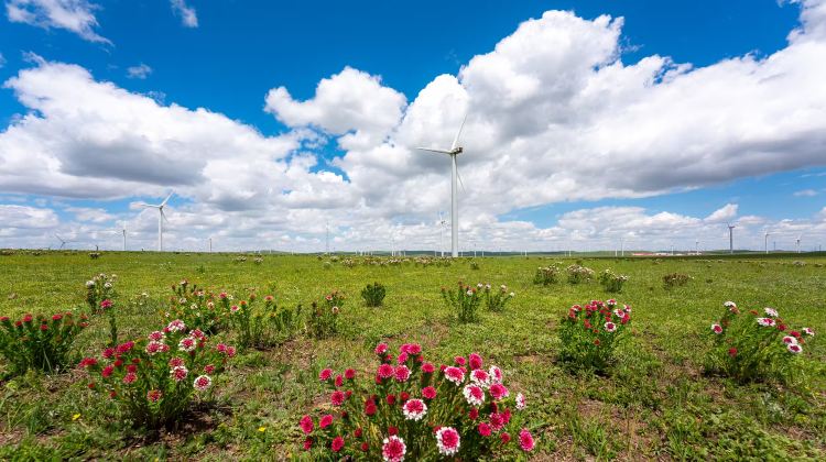 6D5N · Private Tours · Inner Mongolia + Hohhot + Huitengxile Grassland + Whistling Dune Bay