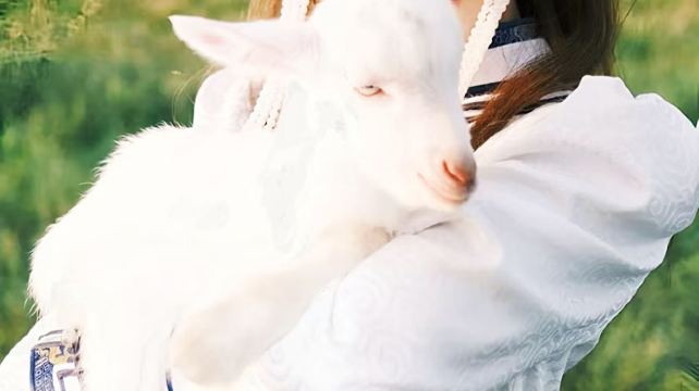 避暑山莊+木蘭圍場+烏蘭布統草原+壩上3日2晚跟團遊·初春踏青 門票全含 純玩O購物 遺避暑山莊 烏蘭布統草原 公主湖+影視基地 贈烤全羊