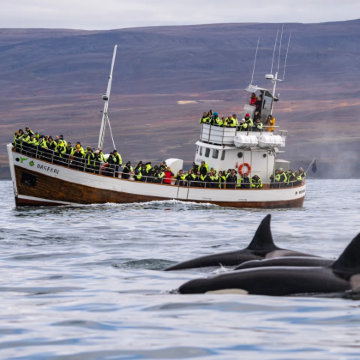 冰岛8日7晚自由行
