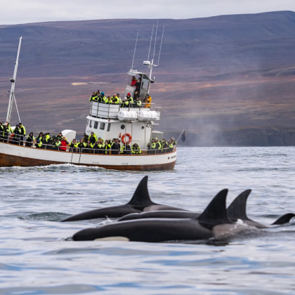 冰岛8日7晚自由行