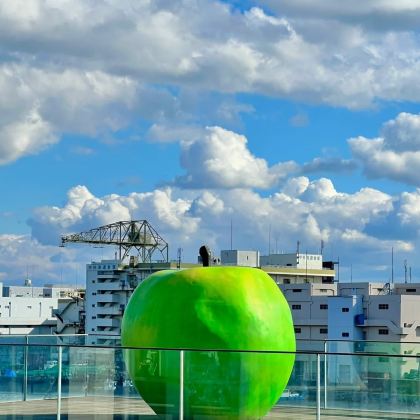 日本大阪+京都6日5晚私家团