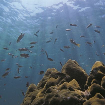 马来西亚兰卡威+芭雅岛4日3晚自由行