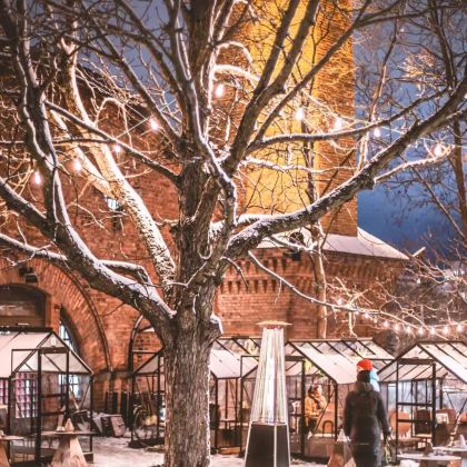 芬兰罗瓦涅米+凯米+列维+赫尔辛基+塔林8日7晚私家团