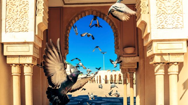 15-Day Highlights of Morocco Tour·Marrakech, Chefchaouen, Fès, Merzouga, Todra Gorge,  Essaouira, Aït Ben Haddou | High Atlas Mountains