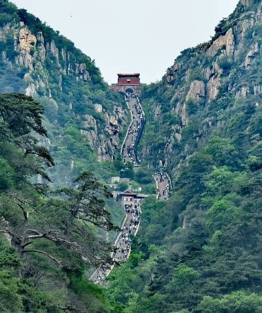 5日4晚 • 濟南+泰山風景區+曲阜+青島