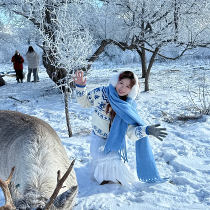 哈尔滨+长白山+雪乡+延吉7日6晚自由行