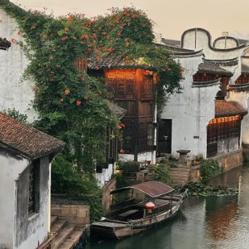 嘉兴+海宁2日1晚拼小团