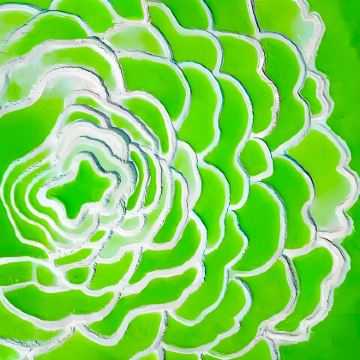 西宁+青海湖景区+茶卡盐湖+察尔汗盐湖+敦煌+张掖7日6晚拼小团