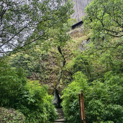 武夷山2日1晚私家团