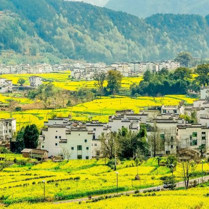 江西南昌+望仙谷+婺源+景德镇4日3晚私家团