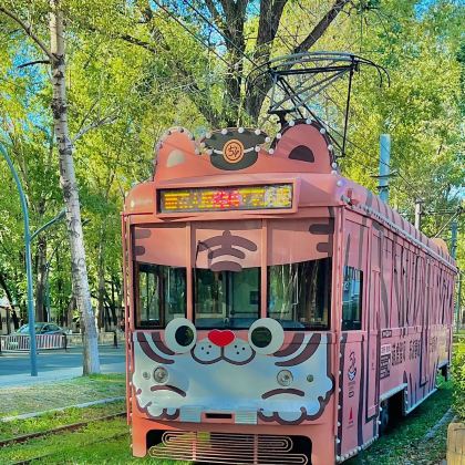 沈阳故宫+长白山+延吉+哈尔滨+漠河北极村10日9晚私家团