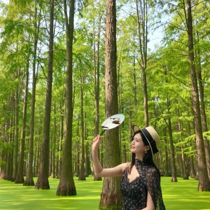 扬州+兴化4日3晚跟团游