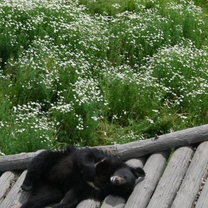 哈尔滨+抚远6日5晚拼小团
