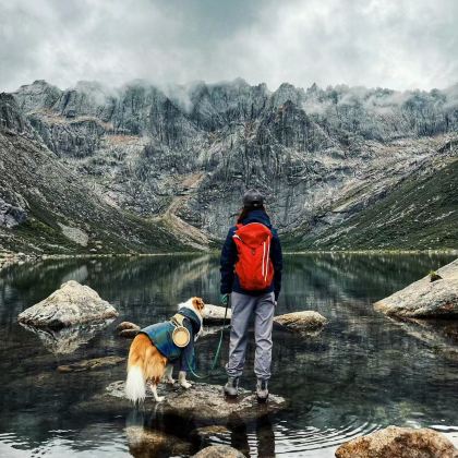 甘南+扎尕那+莲宝叶则景区+炳灵寺石窟+黄河九曲第一湾+若尔盖花湖生态旅游区8日7晚跟团游